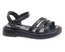 24 PFM LT-66623/BLACK