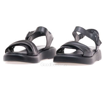 24 PFM LT-66622/BLACK