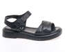 24 PFM LT-66622/BLACK