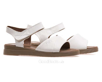 24 PFM XD-21135L/WHITE
