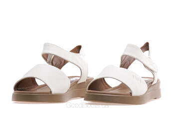 24 PFM XD-21135L/WHITE