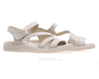 24 PFM LT-602-61/BEIGE