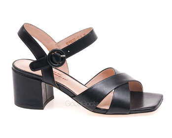 INCI HS49225B-17-9/BLACK