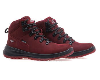 4F OBDH261/BORDO
