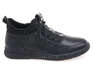 24 PFM T6-86511/BLACK