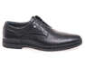 IKOS 1329-1/BLACK/LICO