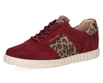 Peter Kaiser 9-73340-45/512