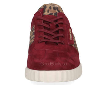 Peter Kaiser 9-73340-45/512