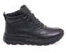STEPTER 8829-75-ST/BLACK LEATHER