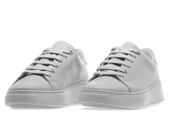 STEPTER 8806/СВІ-СІРИЙ