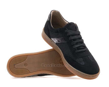 STEPTER 8891/BLACK WELL