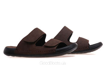 24 PFM N1-31-819/BROWN