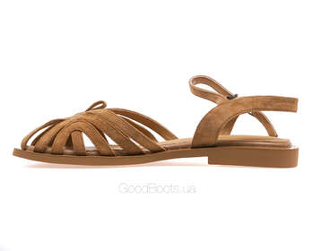 GERONEA NL295-H664-YF336TH/BROWN WELL