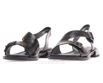 GERONEA A1382-WS593-NP1393TH/BLACK LTH