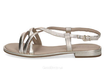 CAPRICE 9-28100-44/978