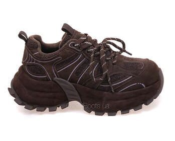 LIFEXPERT 26Z51R3418-2/BROWN WELL
