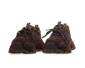 LIFEXPERT 26Z51R3418-2/BROWN WELL