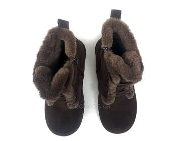 LIFEXPERT Z82-ZM171-3/BROWN WELL