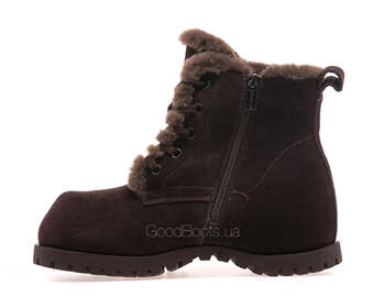 LIFEXPERT Z82-ZM171-3/BROWN WELL