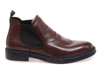 ANEMONE Z6899F-00P-2/BROWN