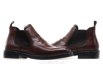 ANEMONE Z6899F-00P-2/BROWN