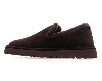 ANEMONE P6526M-2B/BROWN WELL