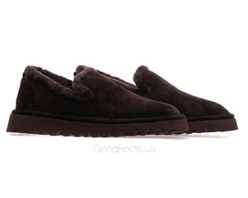 ANEMONE P6526M-2B/BROWN WELL