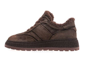 LIFEXPERT F5-JM26811-2/BROWN WELL