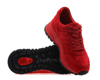 ANEMONE H62379A-61-13/RED WELL