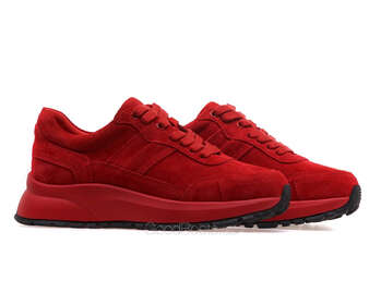 ANEMONE H62379A-61-13/RED WELL