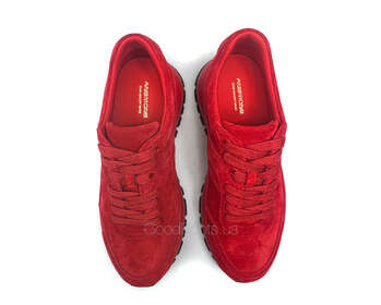 ANEMONE H62379A-61-13/RED WELL