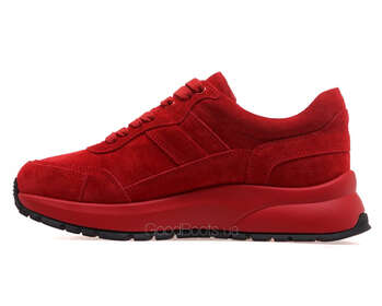 ANEMONE H62379A-61-13/RED WELL