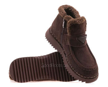 24 PFM D1-2618-X/BROWN WELL