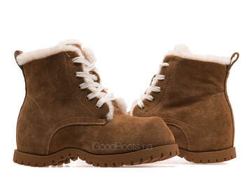 LIFEXPERT Z82-ZM171-2/BROWN WELL