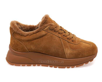 ANEMONE H62379M-65-2/BROWN WELL