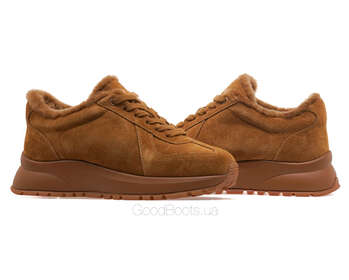 ANEMONE H62379M-65-2/BROWN WELL