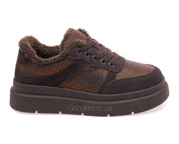 LIFEXPERT F1-ZM75259-1/BROWN WELL