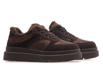 LIFEXPERT F1-ZM75259-1/BROWN WELL