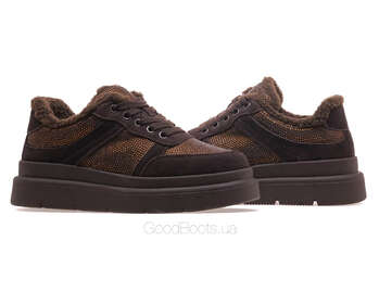 LIFEXPERT F1-ZM75259-1/BROWN WELL