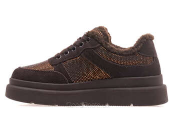 LIFEXPERT F1-ZM75259-1/BROWN WELL