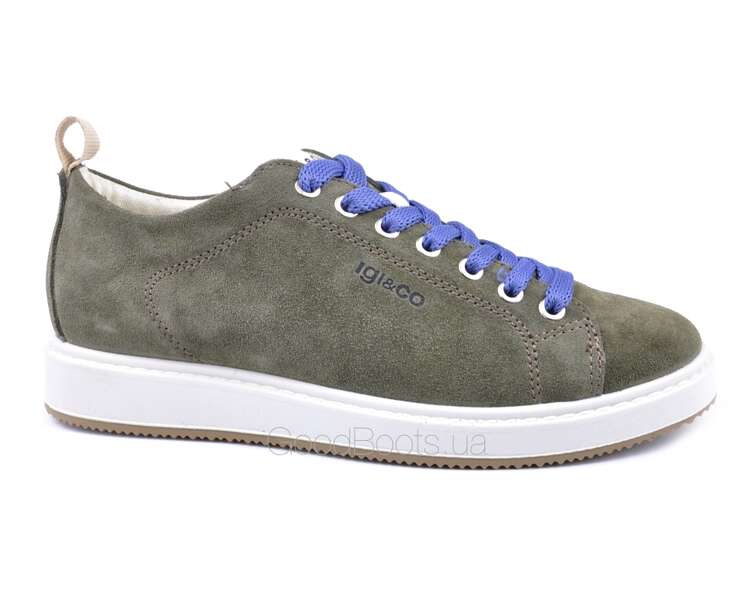 Купить женские кроссовки IGI&CO 5137933 с доставкой Киев,Харьков ...