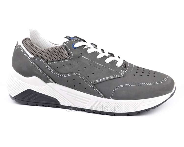 Купить женские кроссовки IGI&CO 5132022 с доставкой Киев,Харьков ...