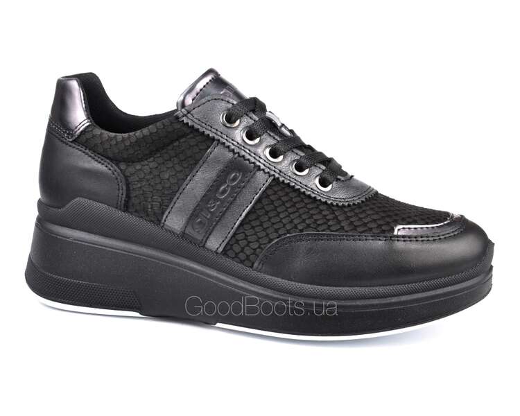 Купить женские кроссовки IGI&CO 6154533 с доставкой Киев,Харьков ...