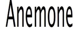 Anemone