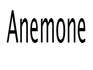 Anemone